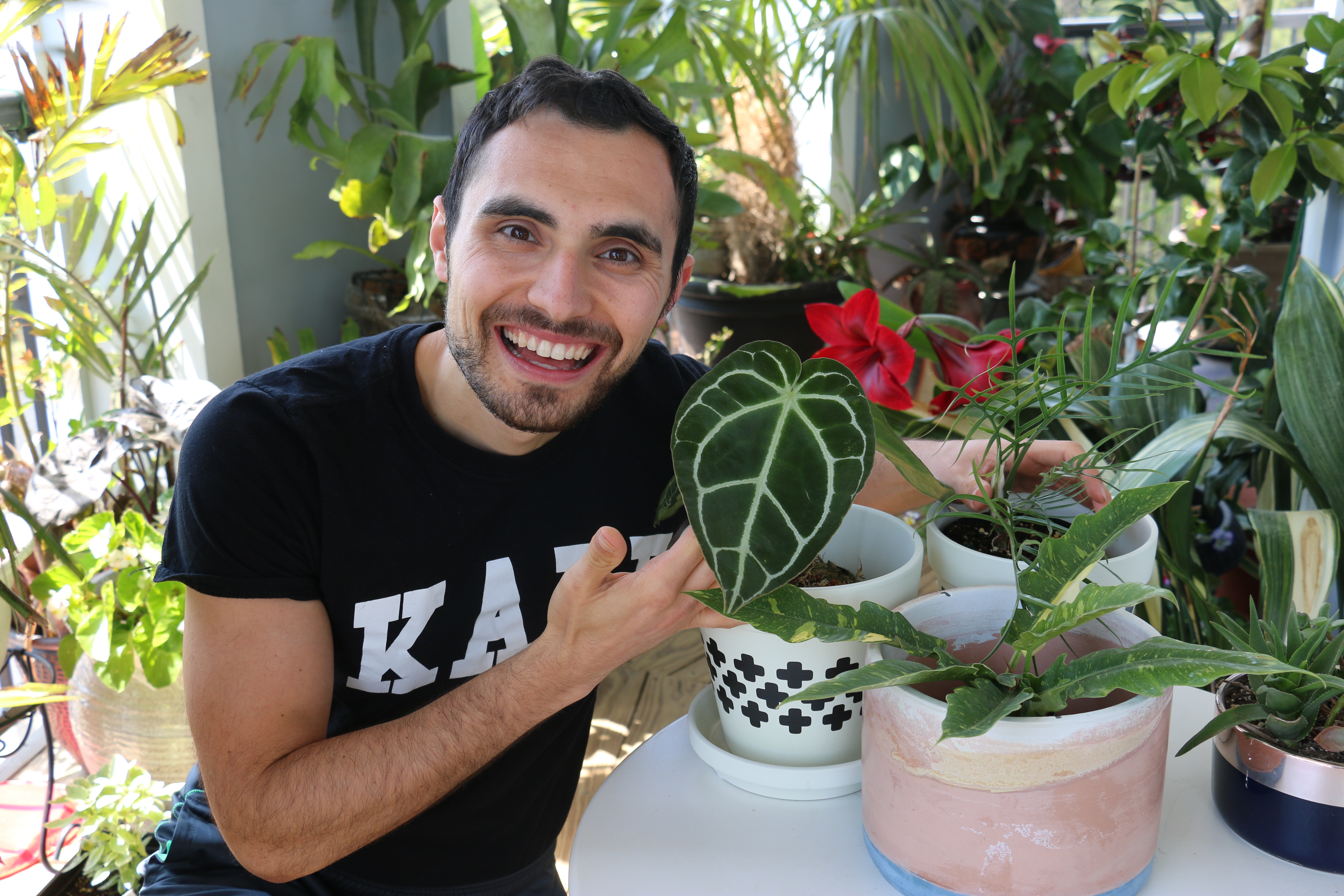 I'm now the proud owner of a trendy houseplant | Here's why they