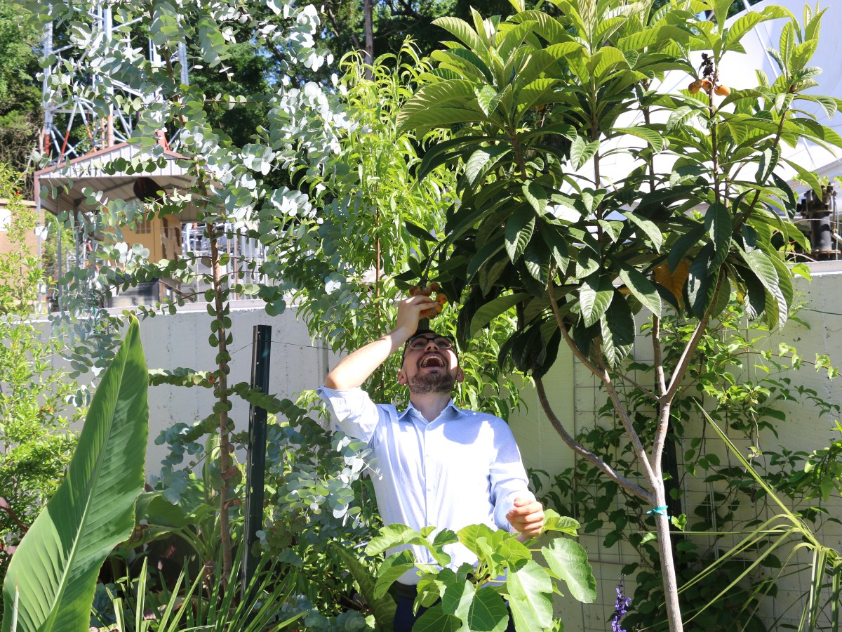 Growing Fruit Trees at&nbsp;WLTX